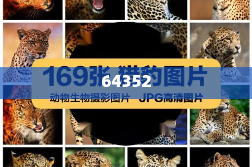 批发商是什么意思,挑战版解释落实_复刻版657687