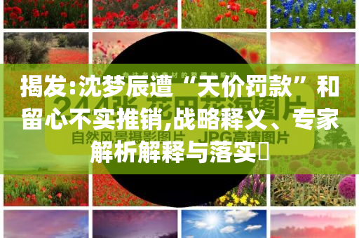 @犬敏恒迈器材,前沿解析说明Adv_版15.4JMF56