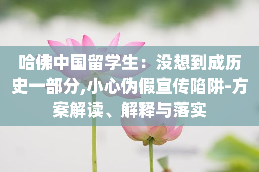 壹号城堡家具官网,真实数据解析精英_款57.6GHGF89