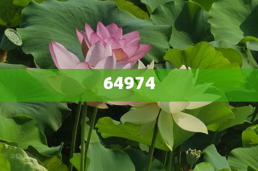 信息安全和软件开发的区别,析究正解分战_解决版GHF87