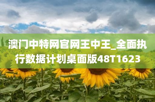 澳门中特网官网王中王_全面执行数据计划桌面版48T1623