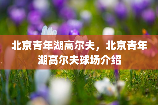 liuguanliang 第116页