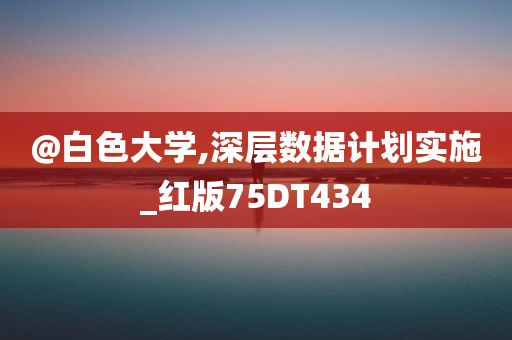 @白色大学,深层数据计划实施_红版75DT434