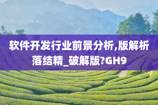 软件开发行业前景分析,版解析落结精_破解版?GH9