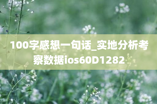xieweiyuan 第55页