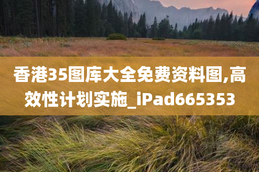 香港35图库大全免费资料图,高效性计划实施_iPad665353