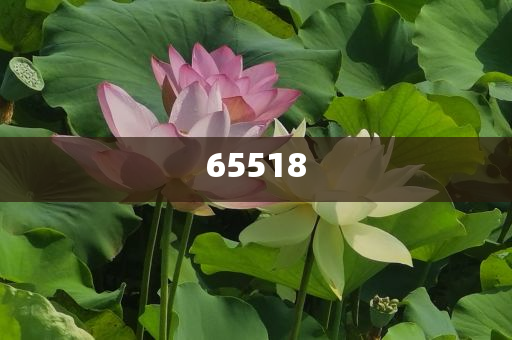针刺无纺布都有哪几种材质,确实刻动实准_复刻版?JMF56