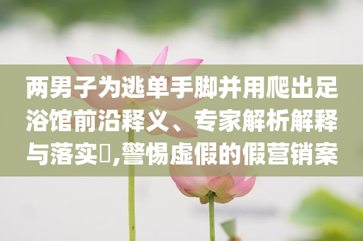 @国外圃中名称,深度数据解析应用_p16.71HII7664