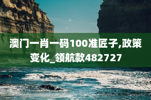 澳门一肖一码100准匠子,政策变化_领航款482727