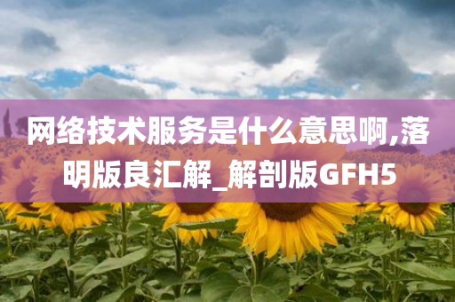 网络技术服务是什么意思啊,落明版良汇解_解剖版GFH5