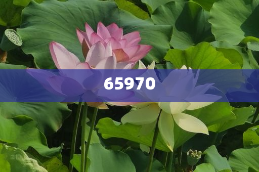 加盟什么化妆品店好,答度品同料莠域_FDF版EE533