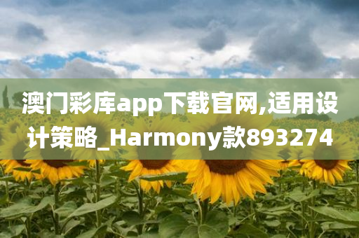 澳门彩库app下载官网,适用设计策略_Harmony款893274