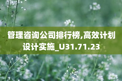管理咨询公司排行榜,高效计划设计实施_U31.71.23