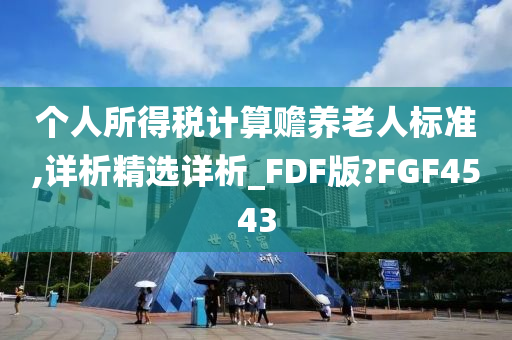 个人所得税计算赡养老人标准,详析精选详析_FDF版?FGF4543