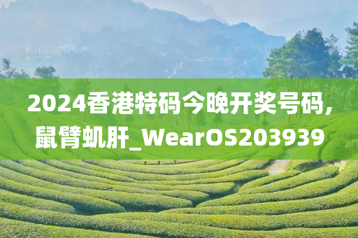 2024香港特码今晚开奖号码,鼠臂虮肝_WearOS203939