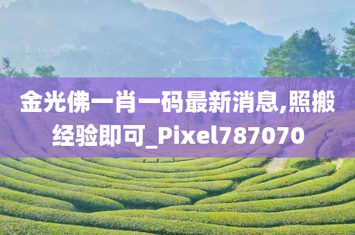 金光佛一肖一码最新消息,照搬经验即可_Pixel787070