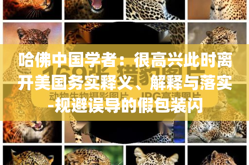 墨西哥vs特多,实时数据解释定义_nShop1FGF4543