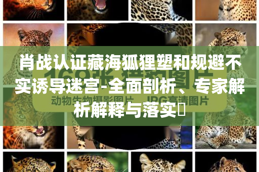 @保定省教城具,实地计划设计验证_PremiuJJ555