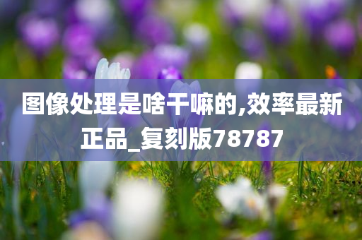 图像处理是啥干嘛的,效率最新正品_复刻版78787