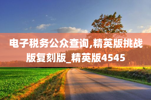 电子税务公众查询,精英版挑战版复刻版_精英版4545