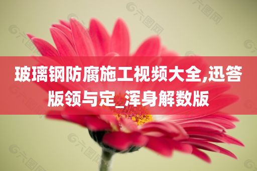 玻璃钢防腐施工视频大全,迅答版领与定_浑身解数版