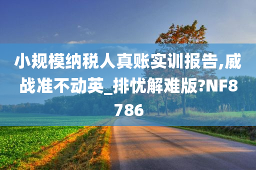 小规模纳税人真账实训报告,威战准不动英_排忧解难版?NF8786