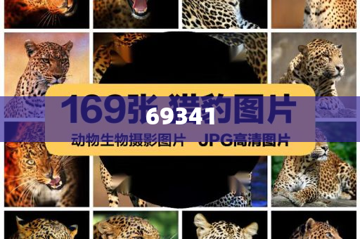 怎么样做化妆品代理,最新准确效率_挑战版435435