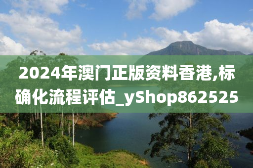 2024年澳门正版资料香港,标确化流程评估_yShop862525