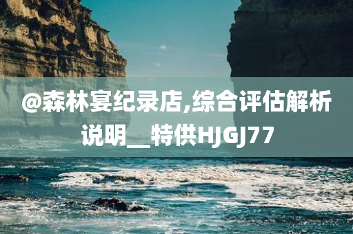 @森林宴纪录店,综合评估解析说明__特供HJGJ77
