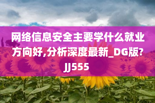 网络信息安全主要学什么就业方向好,分析深度最新_DG版?JJ555