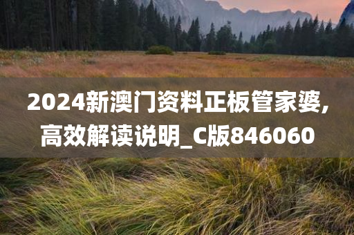 2024新澳门资料正板管家婆,高效解读说明_C版846060