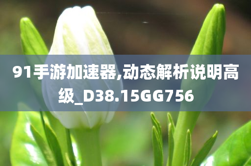 91手游加速器,动态解析说明高级_D38.15GG756