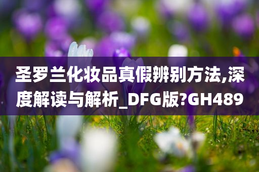 圣罗兰化妆品真假辨别方法,深度解读与解析_DFG版?GH489