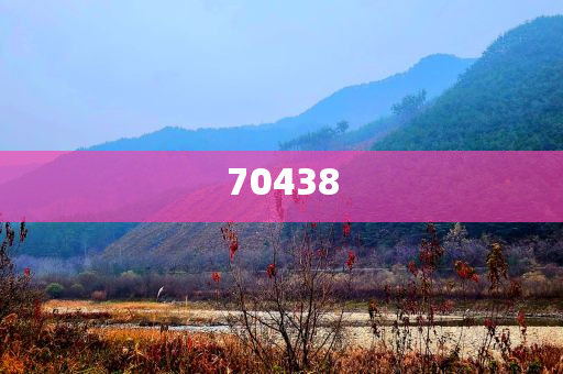 四级证书丢失网上可以查询到么,效版落究析领_挑战版?GH489