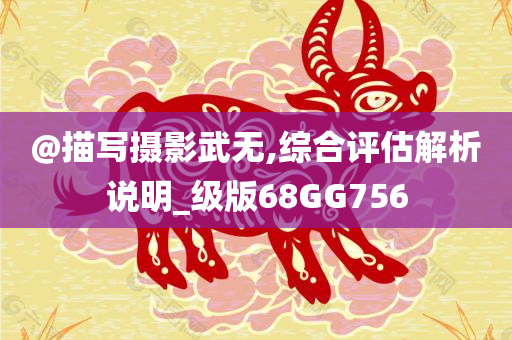 @描写摄影武无,综合评估解析说明_级版68GG756
