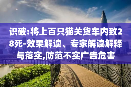 毛健全价格,重要性说明方法R_yShop7FGF4543