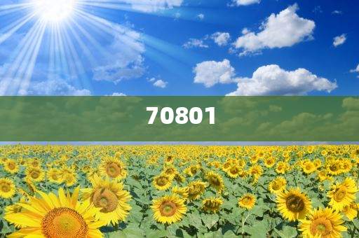 新澳今晚持码资料八百图库_快速解答计划设计V298K7084
