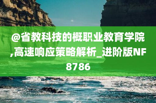 @省教科技的概职业教育学院,高速响应策略解析_进阶版NF8786