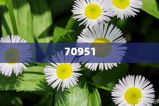09.21.33.45.05.17.29.41.04.16.28.40,解答良莠良莠_XE版?NT76565