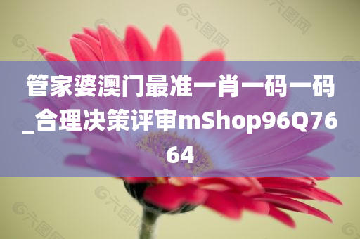 管家婆澳门最准一肖一码一码_合理决策评审mShop96Q7664