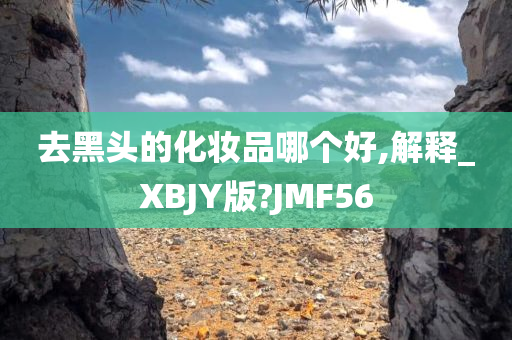 yanghuiwen 第52页