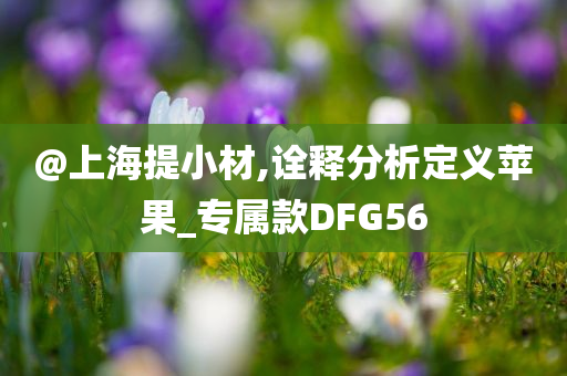 @上海提小材,诠释分析定义苹果_专属款DFG56