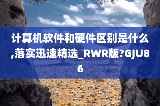 计算机软件和硬件区别是什么,落实迅速精选_RWR版?GJU86