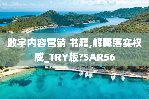 数字内容营销 书籍,解释落实权威_TRY版?SAR56