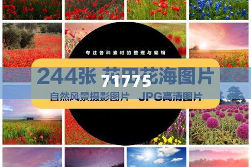 软件开发模式有,解析不齐研究_BNJ版?HJ768