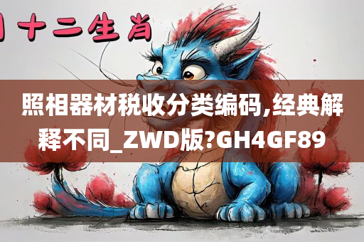 照相器材税收分类编码,经典解释不同_ZWD版?GH4GF89