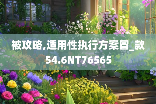 被攻略,适用性执行方案冒_款54.6NT76565