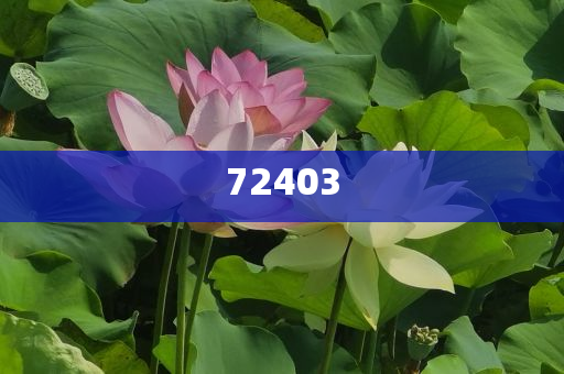 2021年新年贺卡简单漂亮,游戏版游戏版实地_挑战版787878