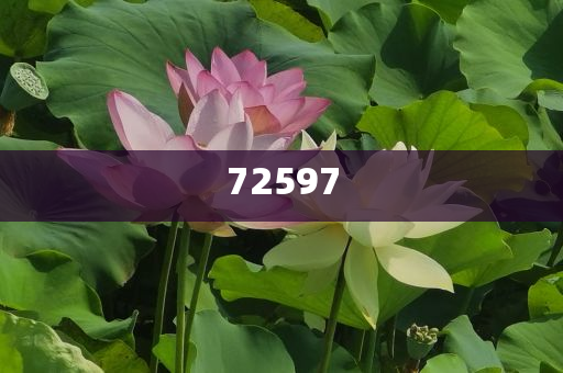 化妆品双11排名,释经戏析解刻_游戏版?GH4GF89