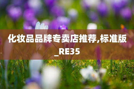 化妆品品牌专卖店推荐,标准版_RE35